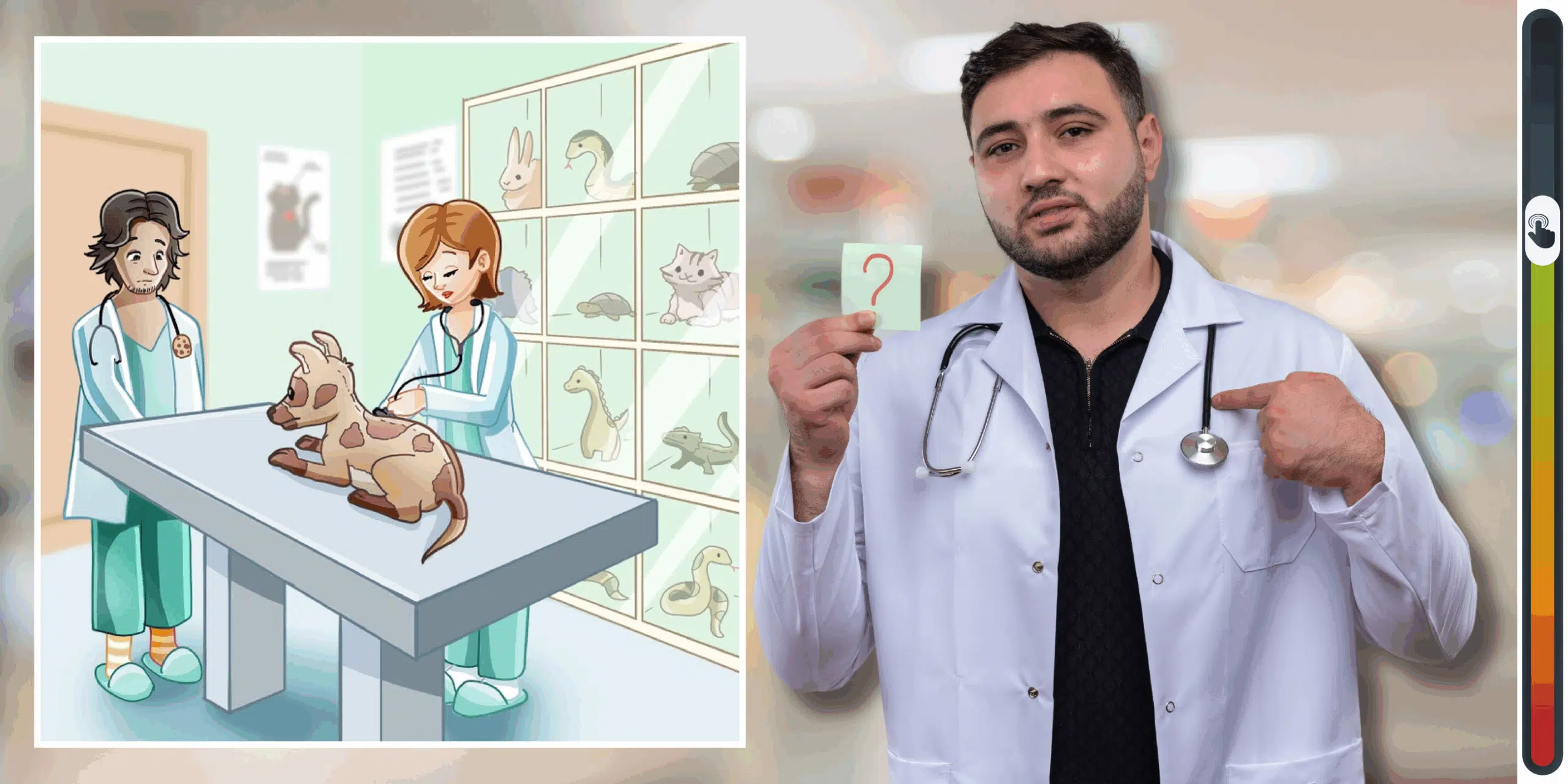 Gioco di osservazione: sei più perspicace di un veterinario esperto? Scopri 3 errori nell’immagine e prova a battere il tempo record di 15 secondi!
