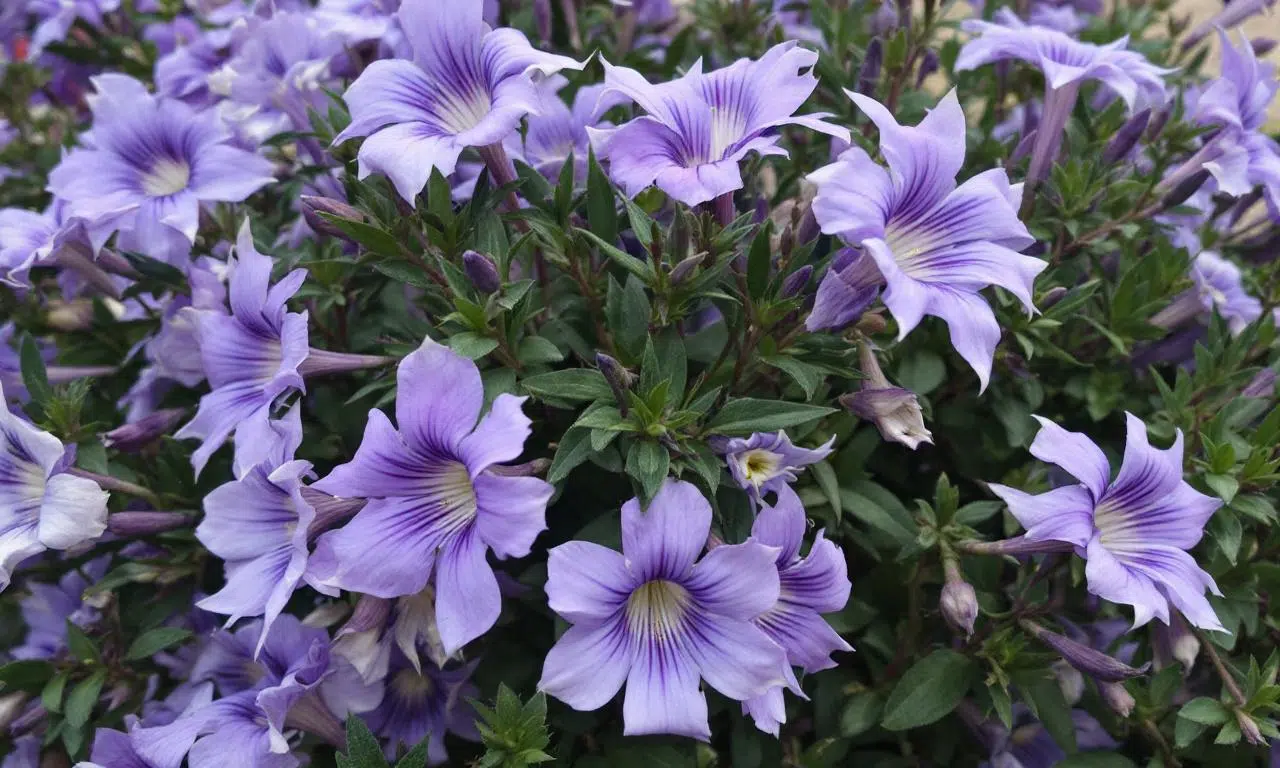 Svela il trucco del giardiniere: la Lobelia fiorisce come mai prima d’ora!