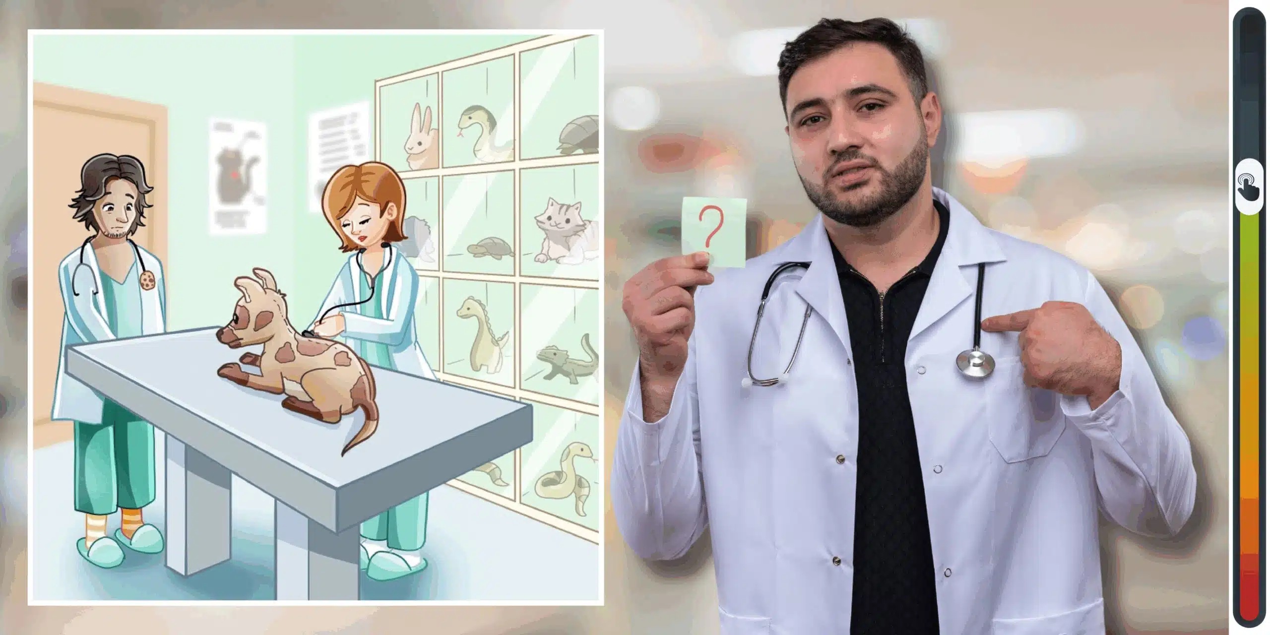 Gioco di osservazione: sei più perspicace di un veterinario esperto? Scopri 3 errori nell'immagine e prova a battere il tempo record di 15 secondi!
