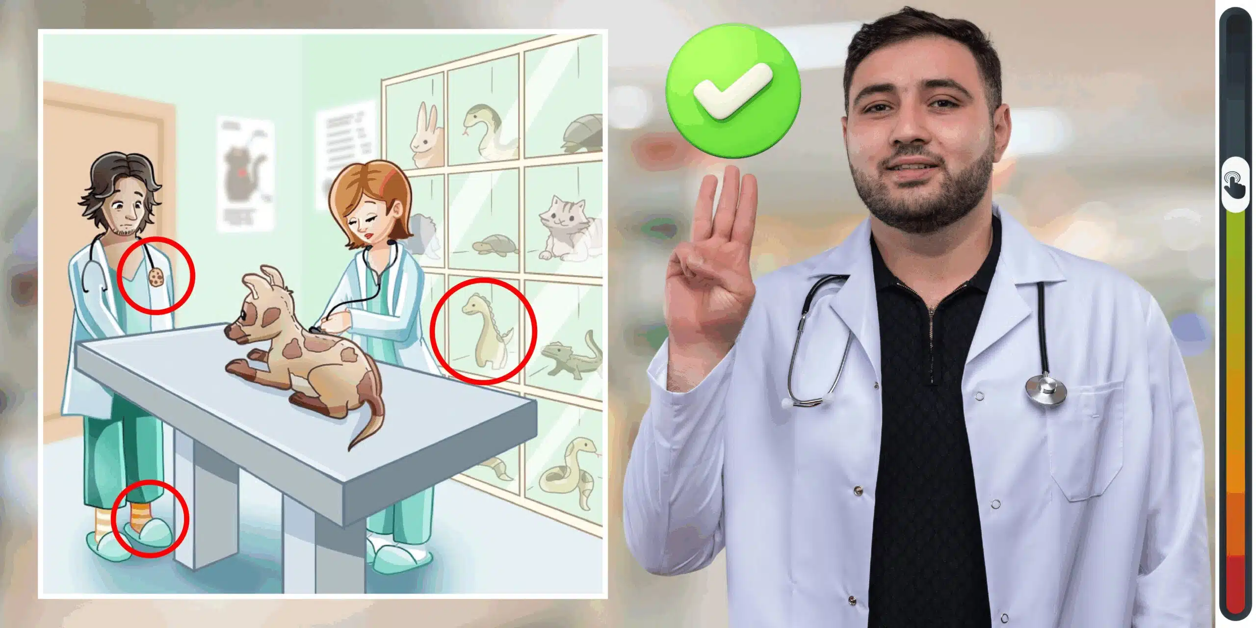 Gioco di osservazione: sei più perspicace di un veterinario esperto? Scopri 3 errori nell'immagine e prova a battere il tempo record di 15 secondi!